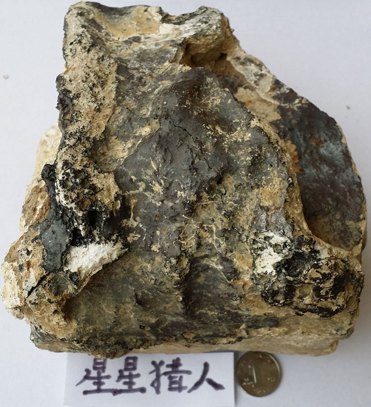 山台4.jpg