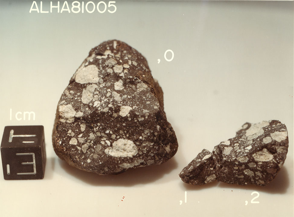 ALH81005B.jpg