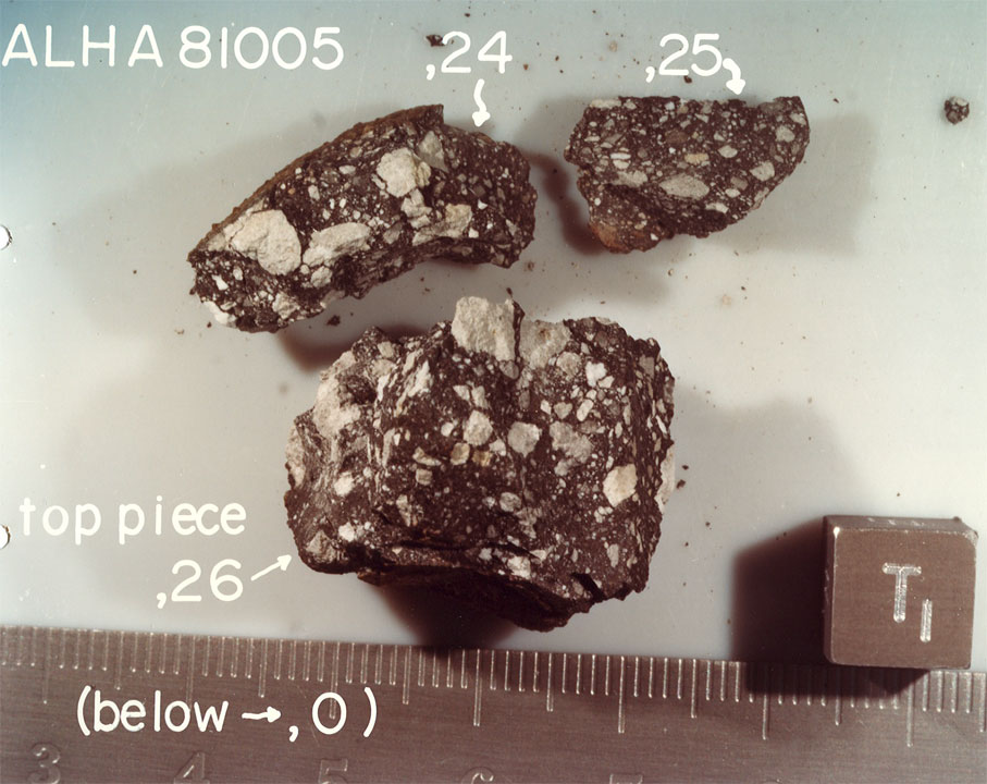 alh81005F.jpg
