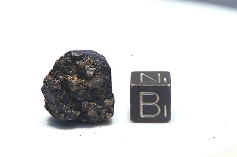 LEW86010a.jpg