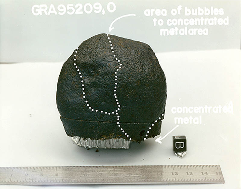 GRA95209i.jpg