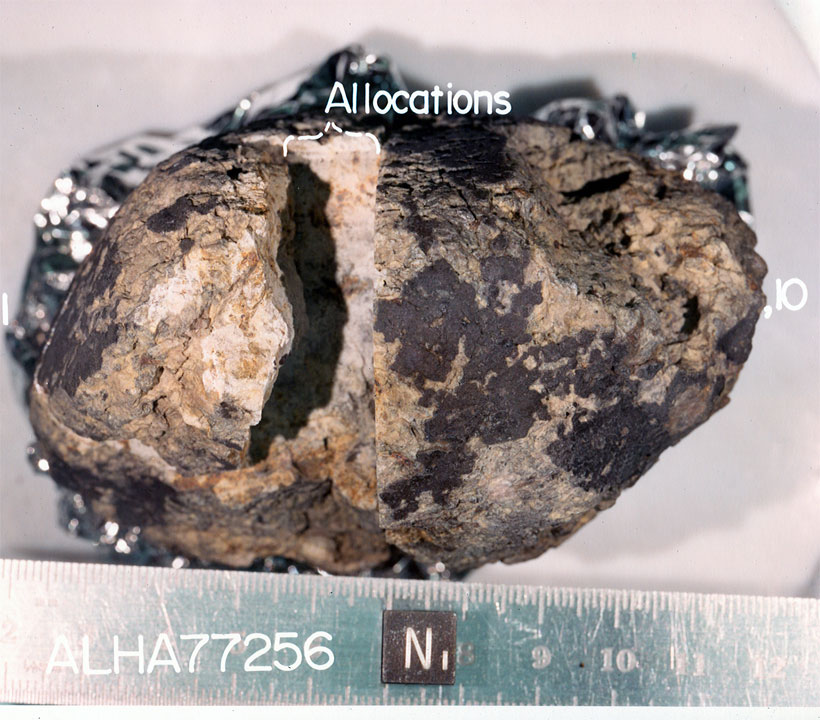 ALHA77256D.jpg
