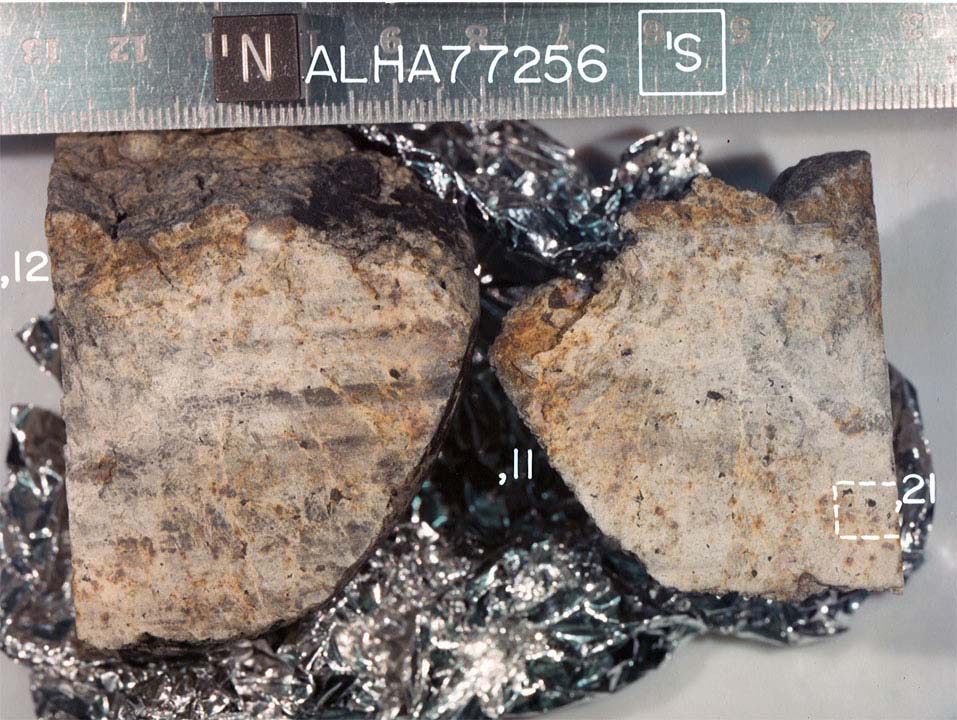 ALHA77256F.jpg