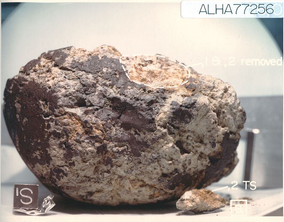 ALHA77256K.jpg