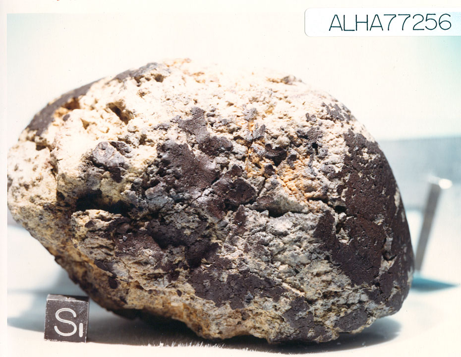 ALHA77256M.jpg