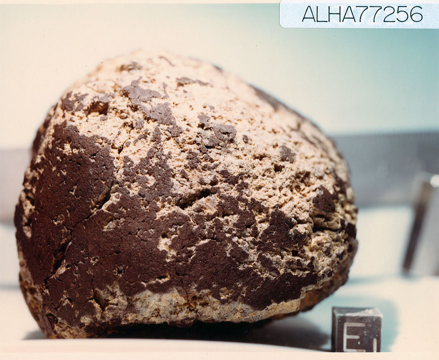 ALHA77256N.jpg