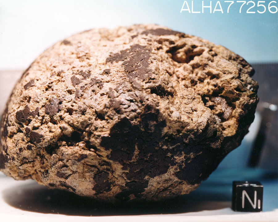 ALHA77256O.jpg
