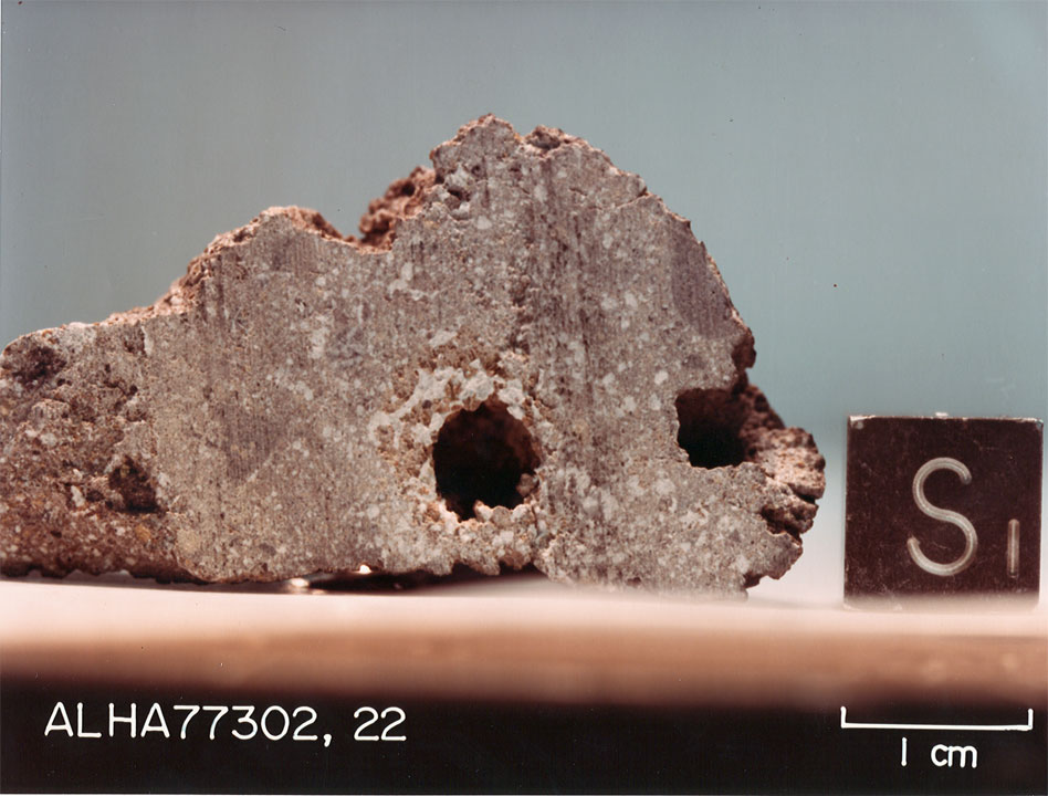 alha77302b.jpg