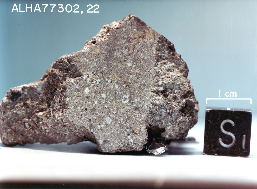 ALHA77302C.jpg