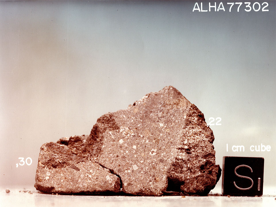 ALHA77302G.jpg
