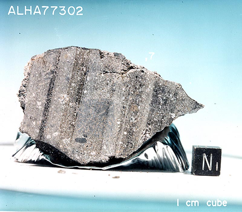 ALHA77302Y.jpg