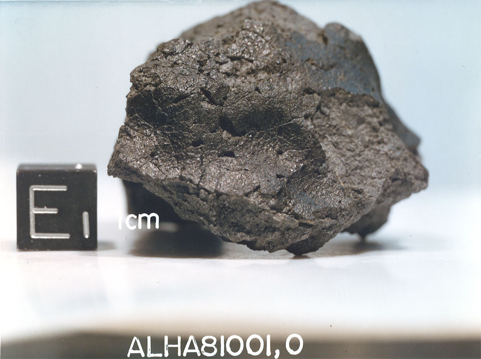 alha81001b.jpg