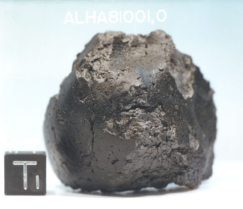 alha81001e.jpg