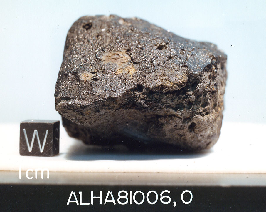alha81006b.jpg