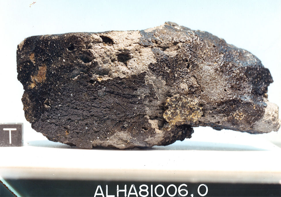 alha81006f.jpg