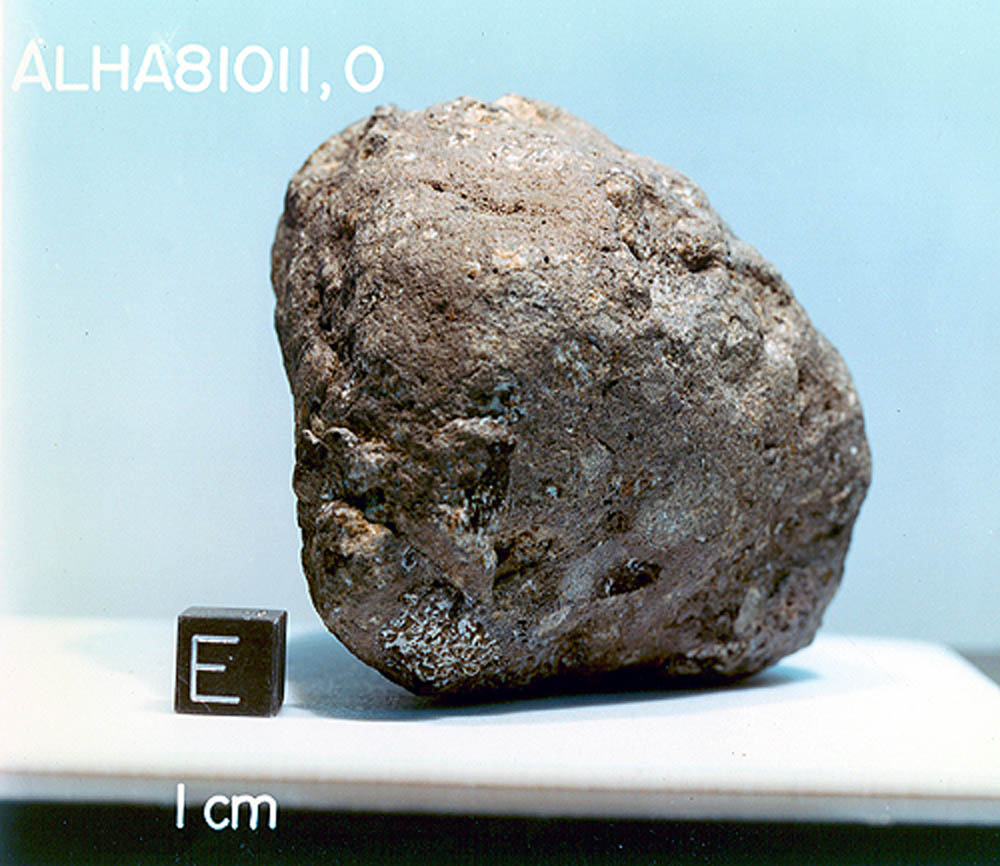 ALHA81011A.jpg