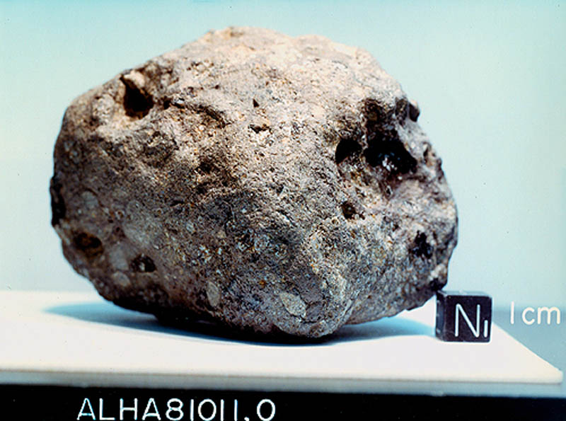 alha81011b.jpg