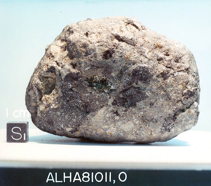 ALHA81011C.jpg