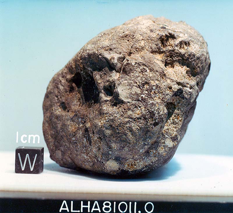 alha81011d.jpg
