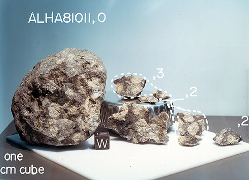 ALHA81011G.jpg
