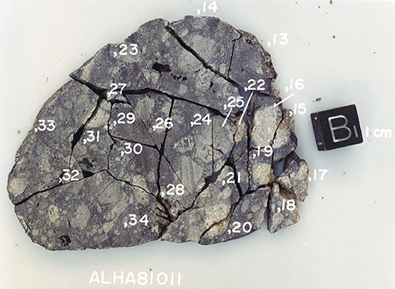 ALHA81011M.jpg