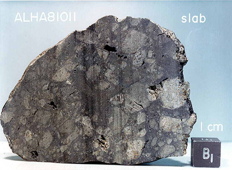 ALHA81011N.jpg