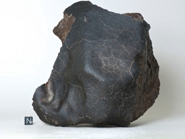 psb (5).jpg