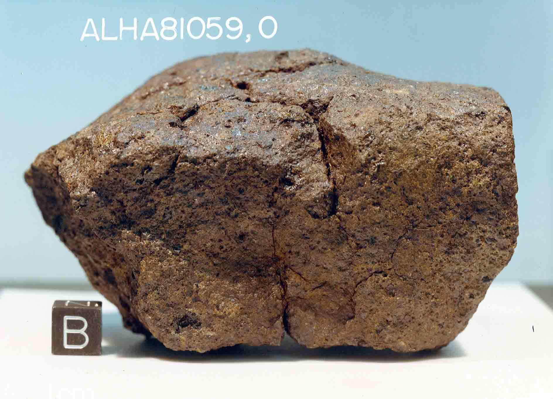 ALHA81059F.jpg