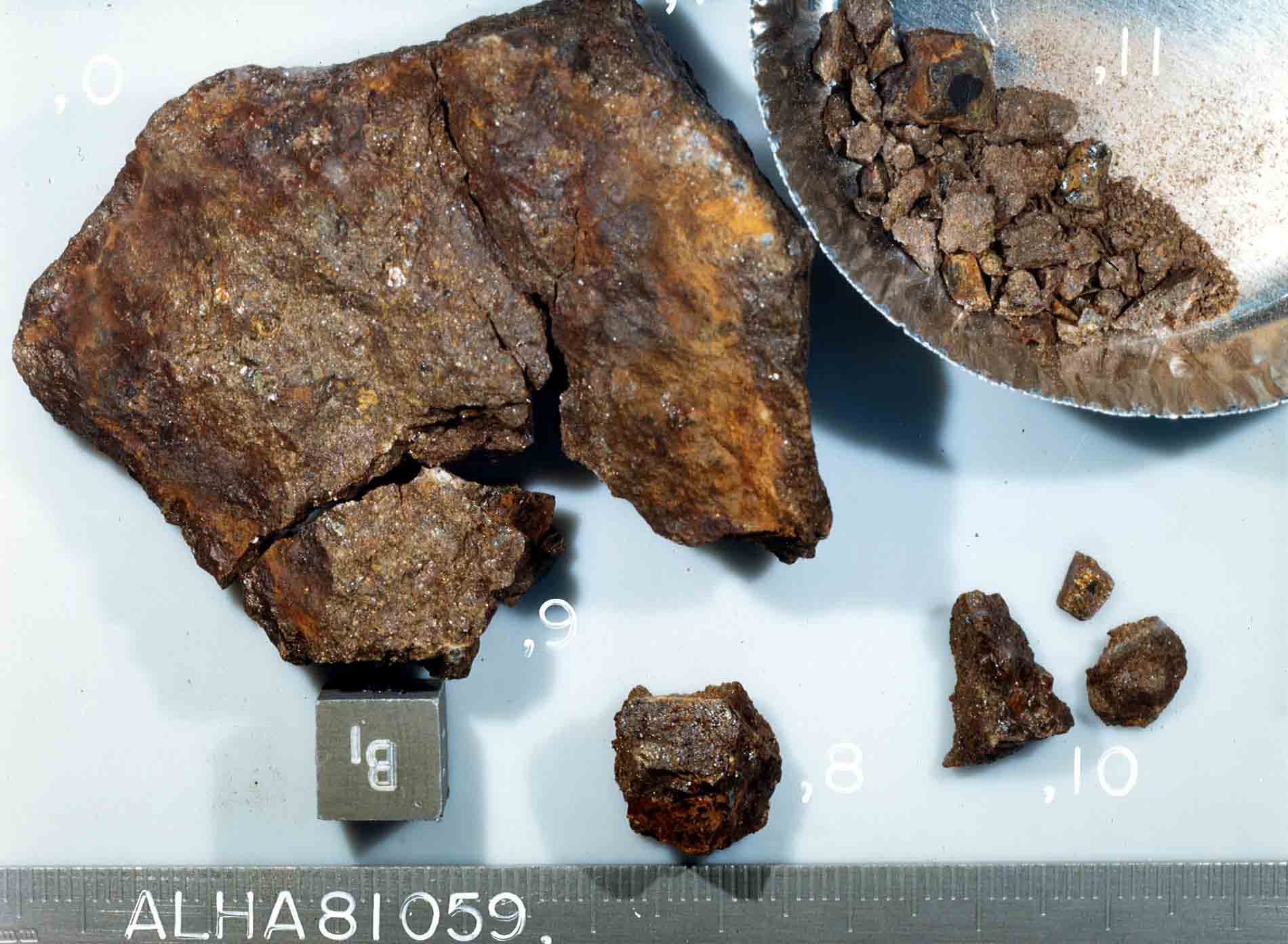ALHA81059H.jpg