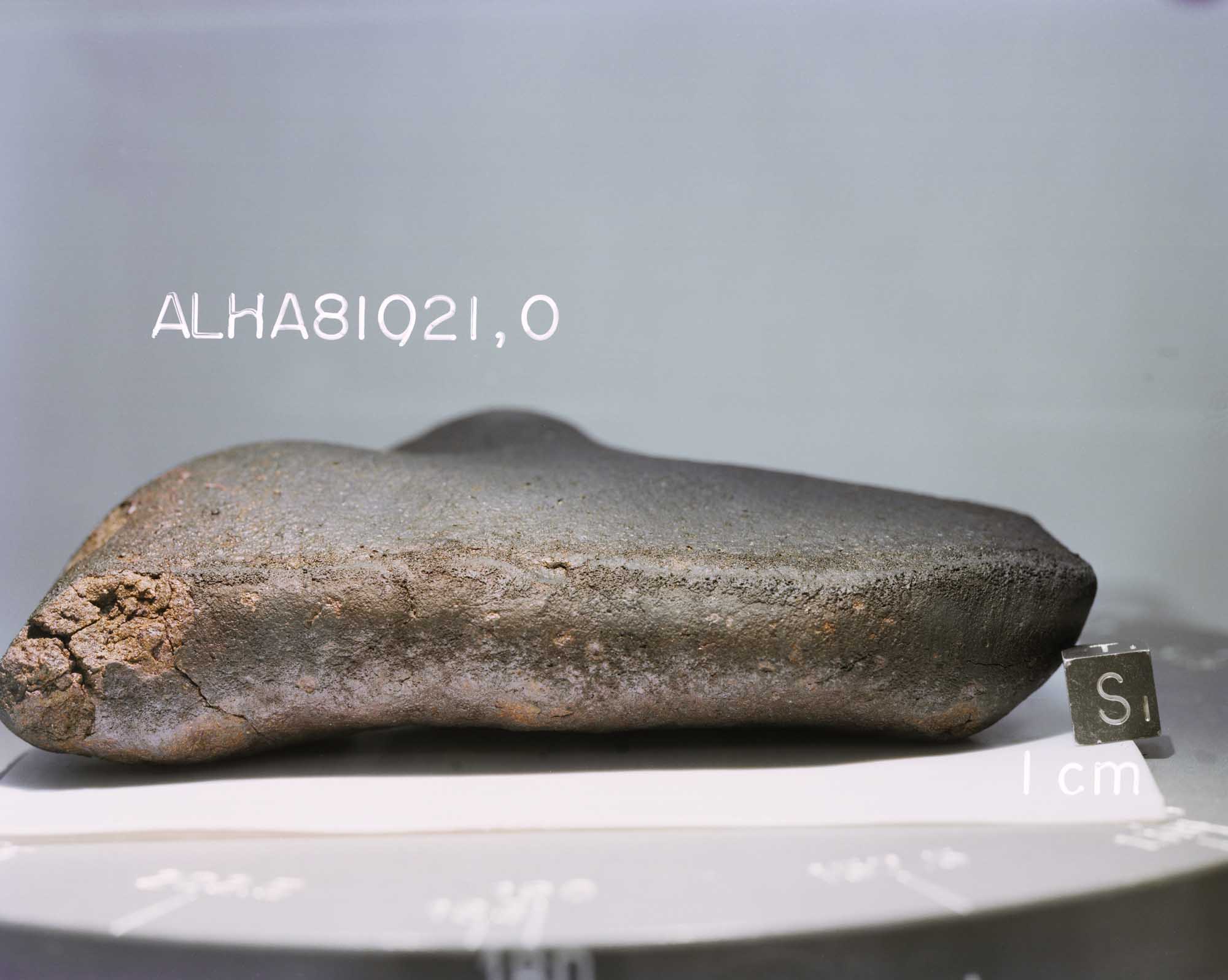 ALHA81021(s82-39971).jpg