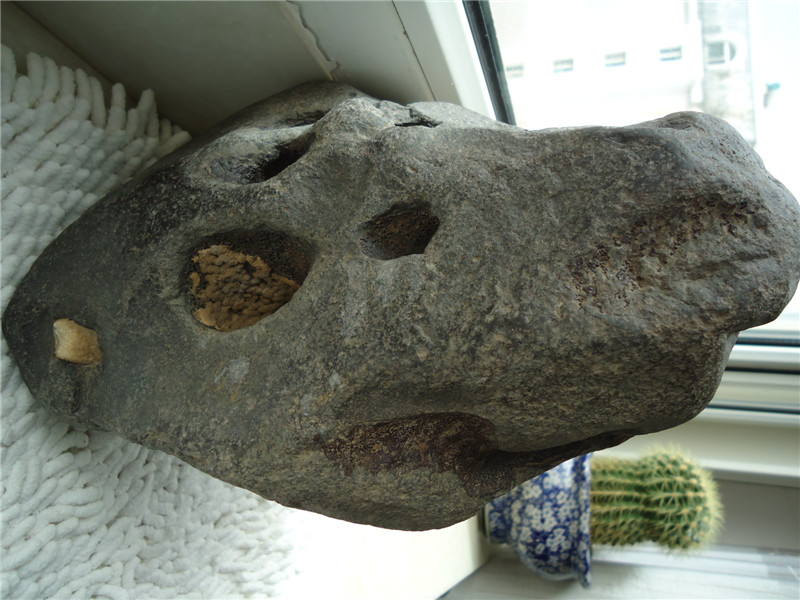 DSC08418_副本.jpg