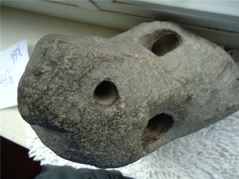 DSC08422_副本.jpg