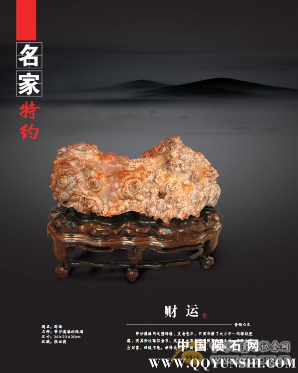 《中国赏石》2014年第一辑封面24.jpg