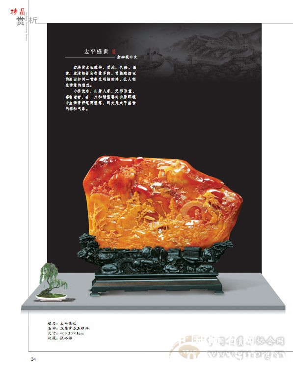 《中国赏石》2014年第一辑封面26.jpg