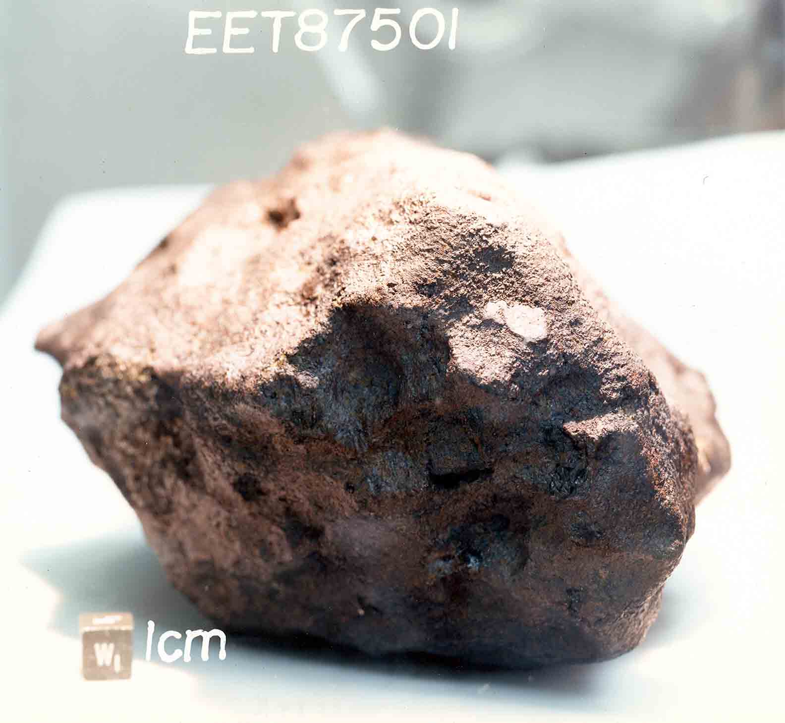 EET87501C.jpg