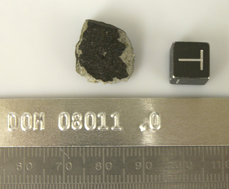 DOM08011,0T.jpg
