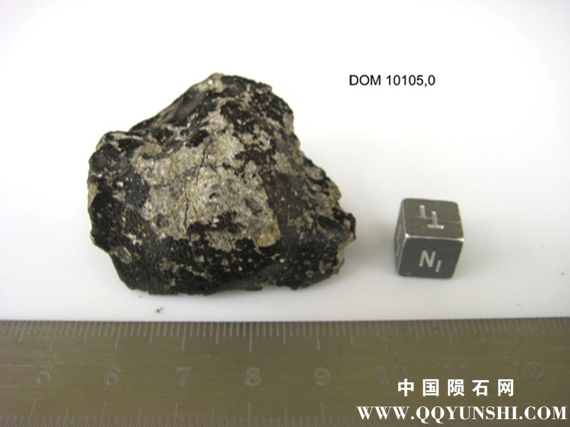 dom10105,0n.jpg