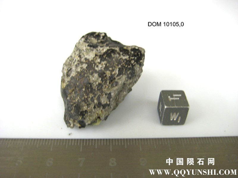 dom10105,0w.jpg