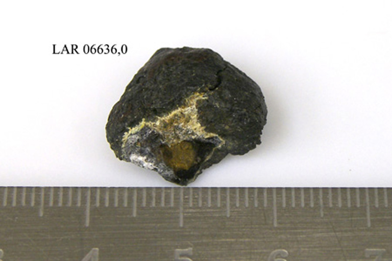 lar06636,0 interior.jpg