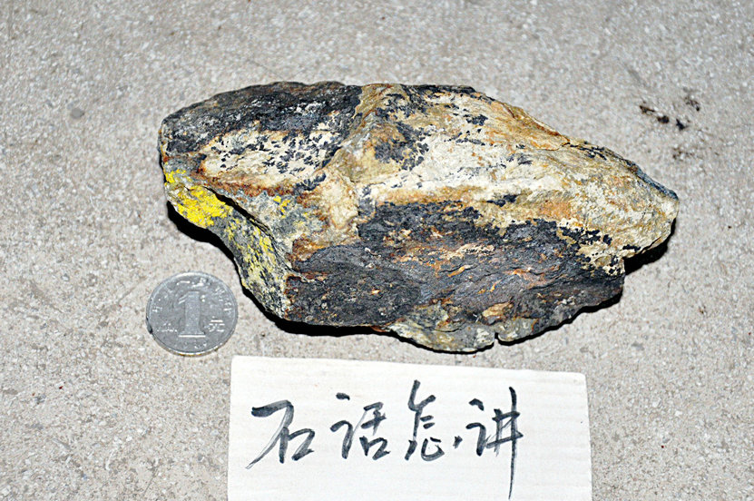照片 205.jpg
