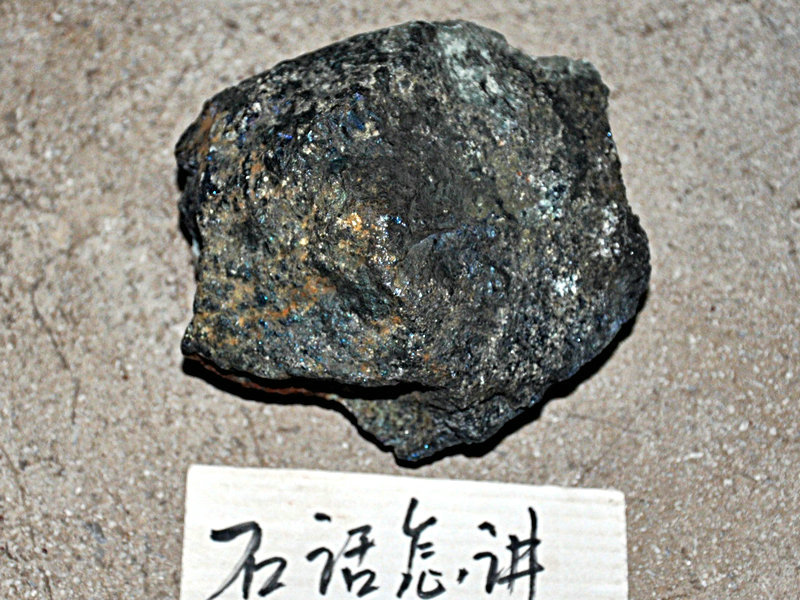 照片 068.jpg