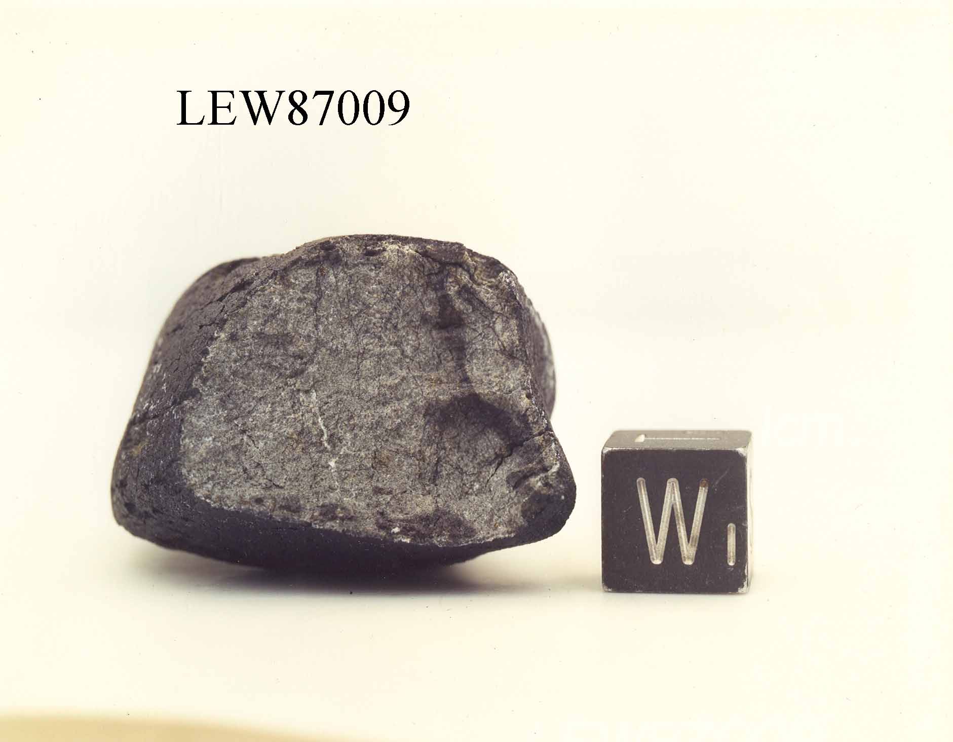 LEW87009C.jpg