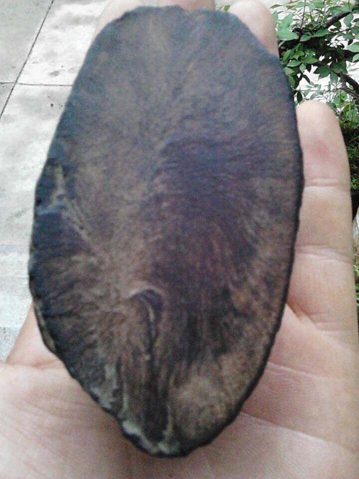 正平面拍照，有似木纹波纹。