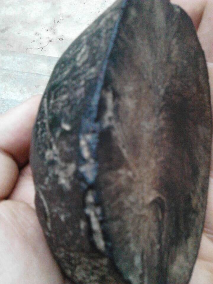 侧面加正面拍照