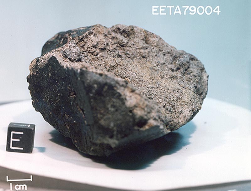 eeta79004n.jpg