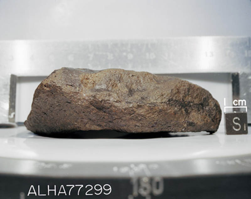 ALHA77299(S78-32516).jpg