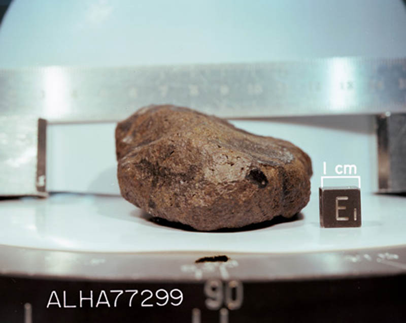 ALHA77299(S78-32517).jpg