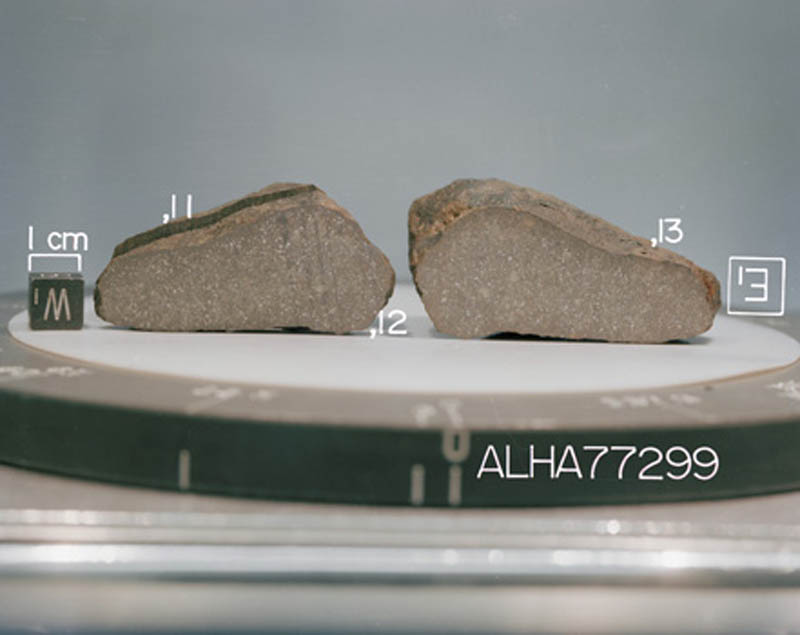 ALHA77299(S78-35622).jpg