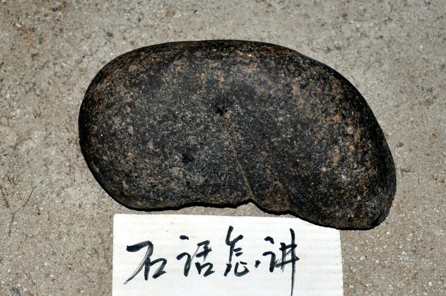 照片 241.jpg