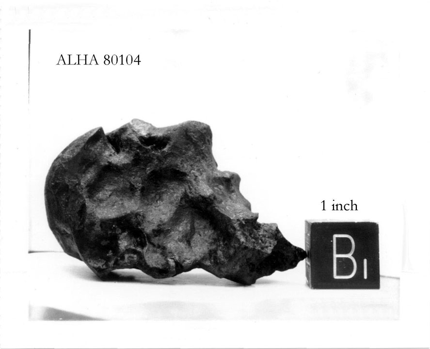 alha80104b.jpg